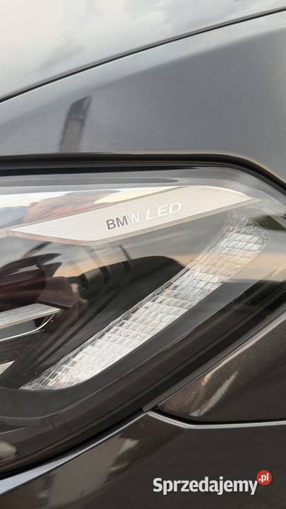 BMW Seria 5 520d mHEV Luxury Line pełny VAT małopolskie Kraków