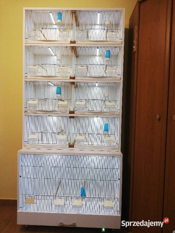 Regał na kanarki super stan najtaniej Ślask Siemianowice Śląskie sprzedam