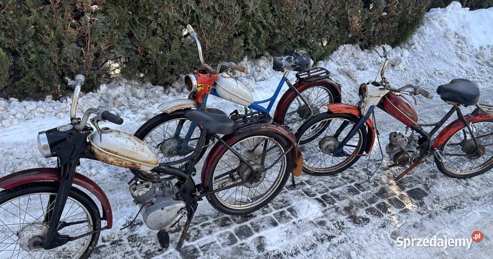 Komarki sztywniaki pakiet 3 małopolskie Limanowa