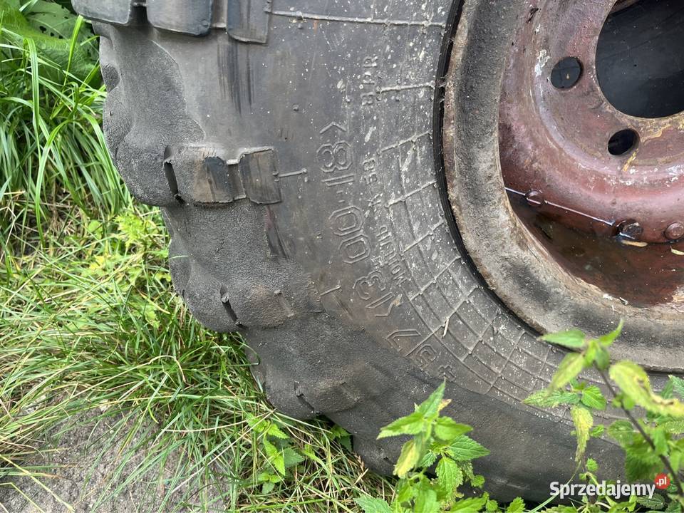 Koła es Rogaczówek