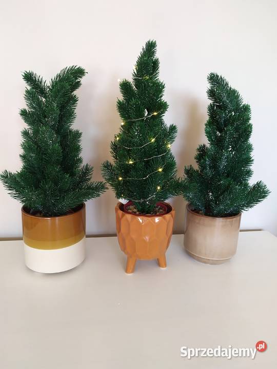 Zestaw 3 x choinka w doniczce zielony zachodniopomorskie Koszalin