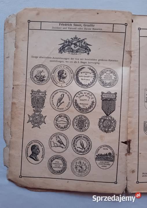 Katalog sprzedażowy kanarków harceńskich karmy wielkopolskie Koźminek sprzedam
