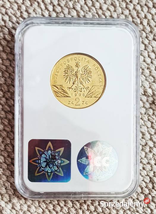 2 1996 r Jeż GCN MS65 Wrocław