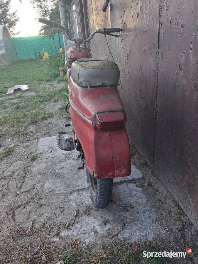 Jawka pancerka 50 Jawa Sułkowice