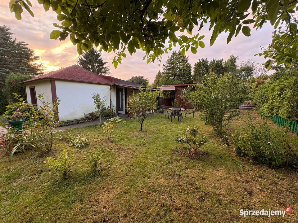 Działka ROD Mokotów Aleja Niepodległości 113115 Sprzedaż Nieruchomości Warszawa