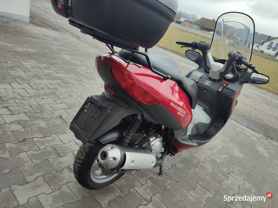 Malaguti Madison 250 A2 Zamiana Raty automatyczna opolskie Ligota Dobrodzieńska