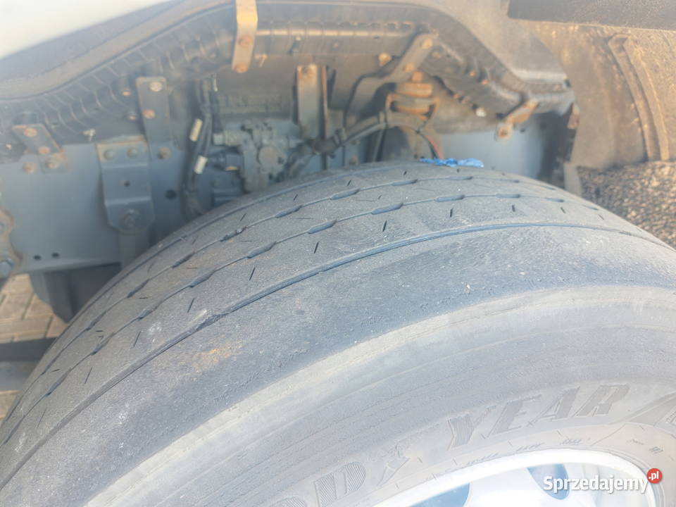 Chlodnia q8palet Daf CF 360