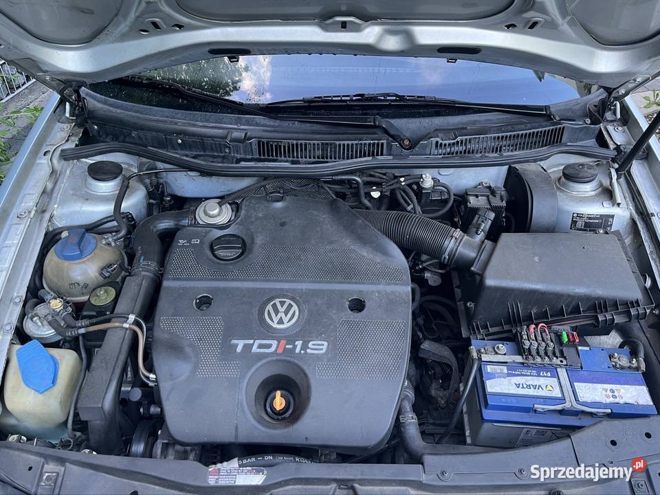 Volkswagen golf 19 tdi 110 Golf