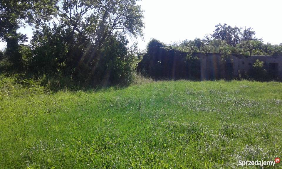 Sprzedam działkę prąd Lipniki Stare