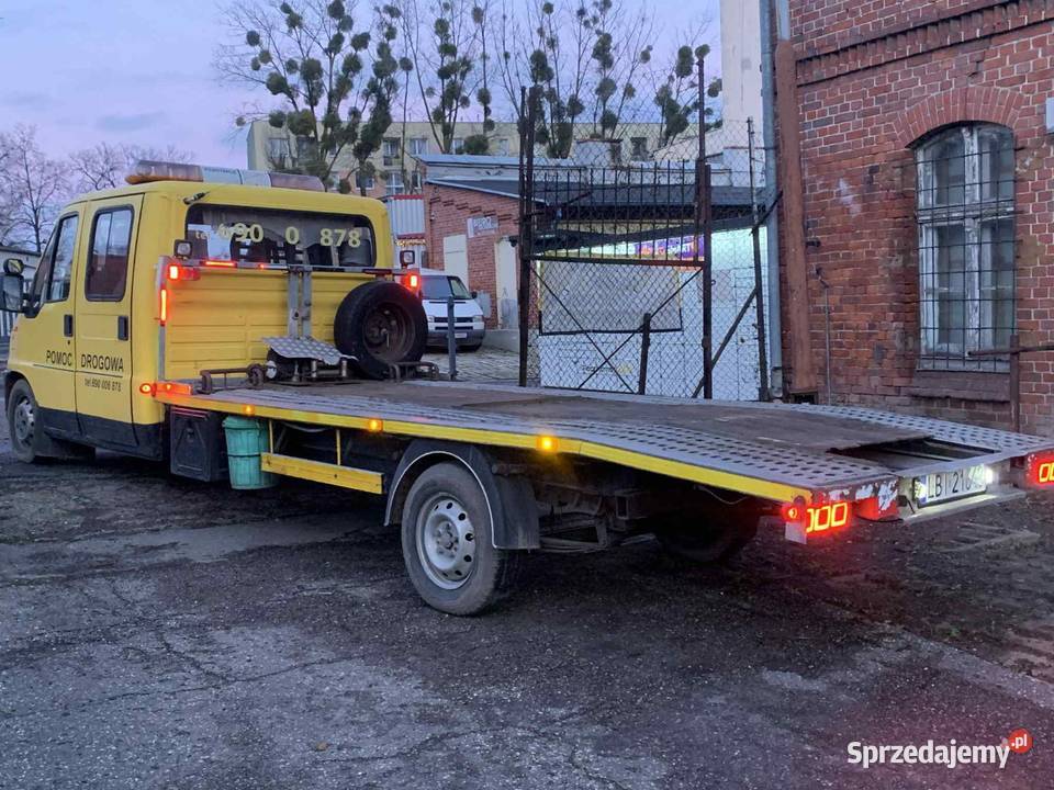 Leweta peżot Kętrzyn sprzedam