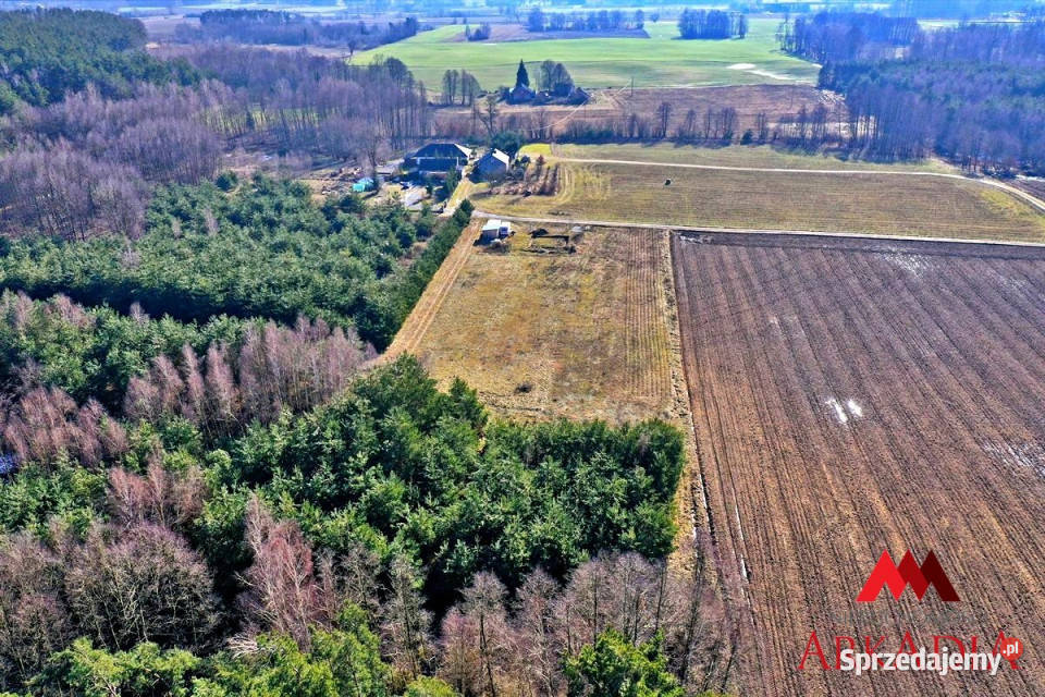 Ogłoszenie grunt 9180m2 Lipno 10zł/m2