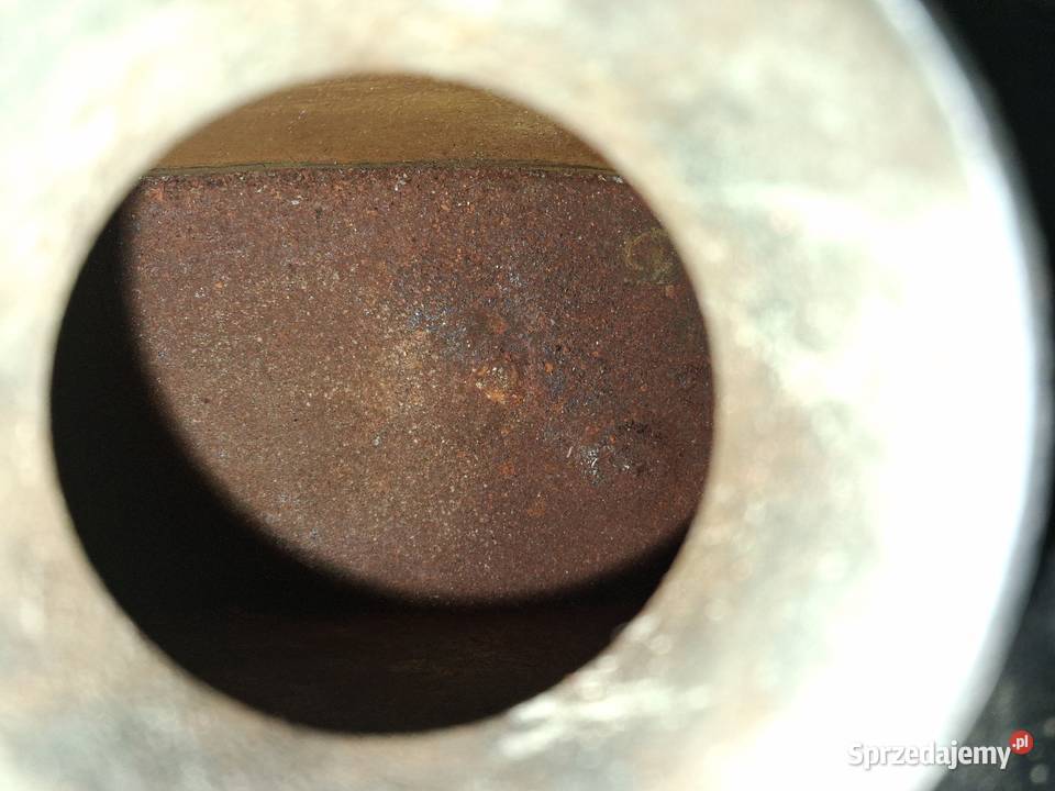 Bak Terrot Magnat Debon orginał Annopol