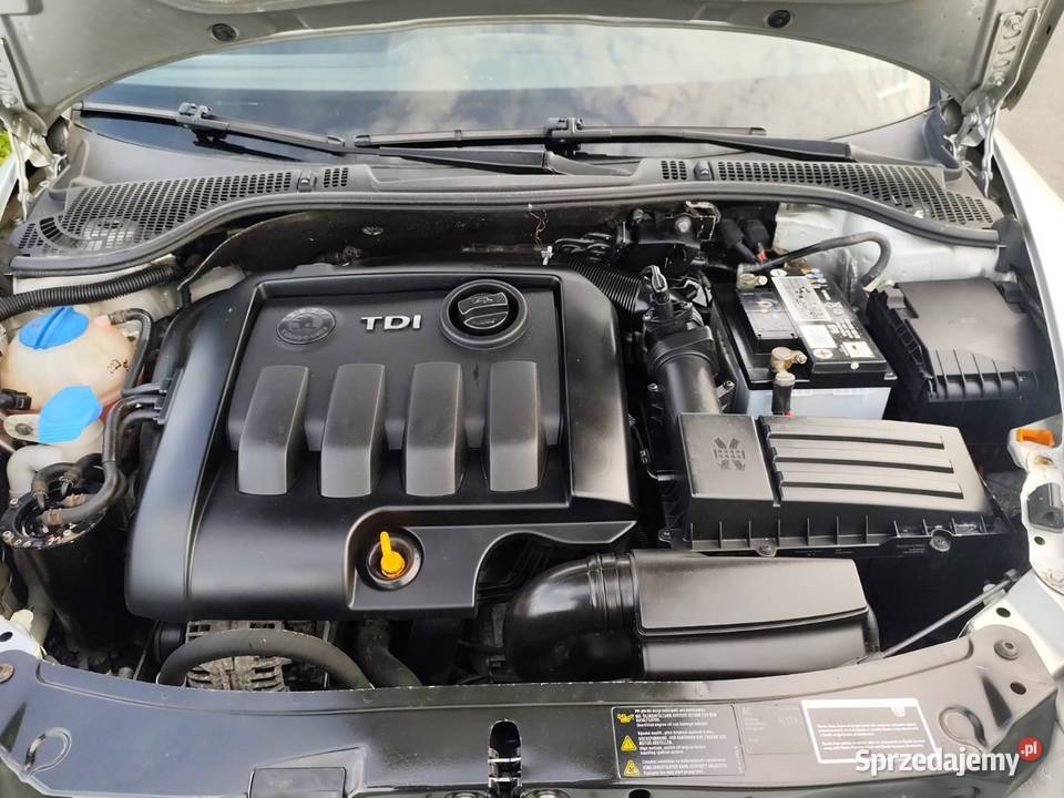 Skoda octavia tdi4x4 Rok produkcji 2007 wielkopolskie Margonin