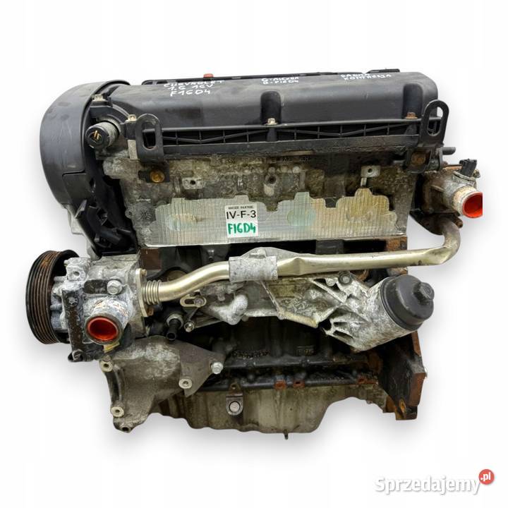 SILNIK F16D4 Chevrolet Cruze Aveo T300 16 16V Chełm