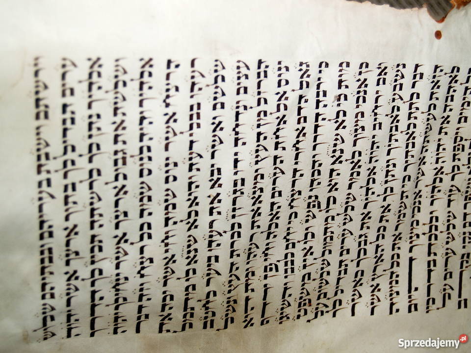 Dziewiętnastowieczna tora na pergaminie