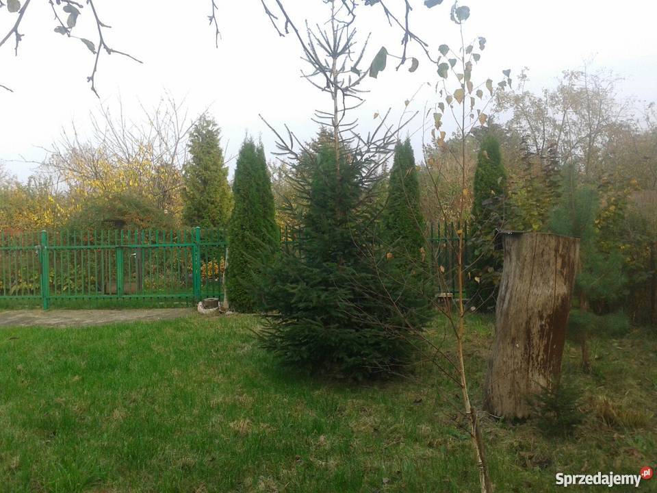 Sprzedam działkę w ROD AUGUSTOWKA 1 Mokotów 480 Warszawa sprzedam