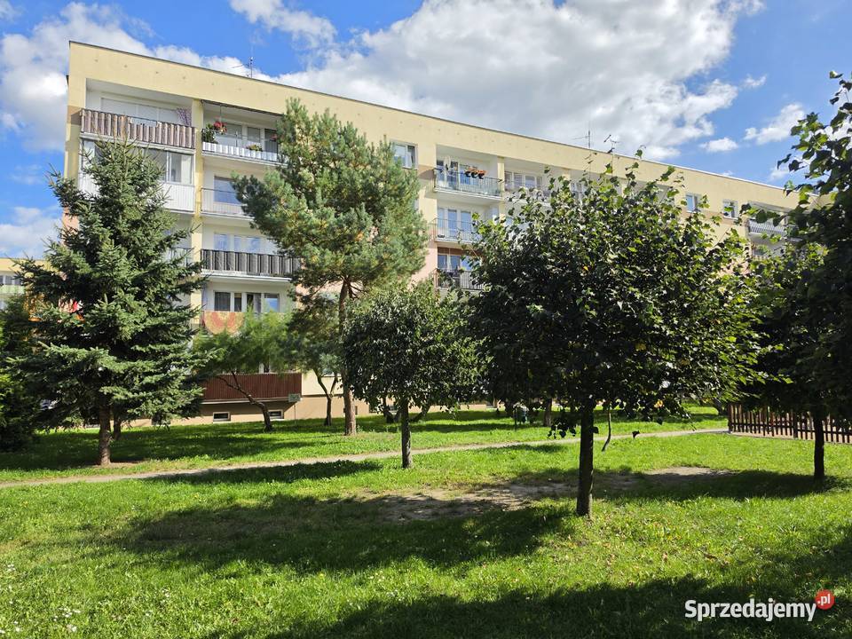 Przestronne 3 pokoje  62 m  Duży balkon  Lewityn 
