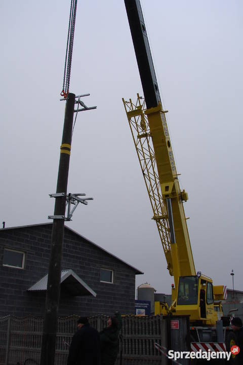 sprzedam dźwig 30 ton Rok produkcji 1994 Kalisz