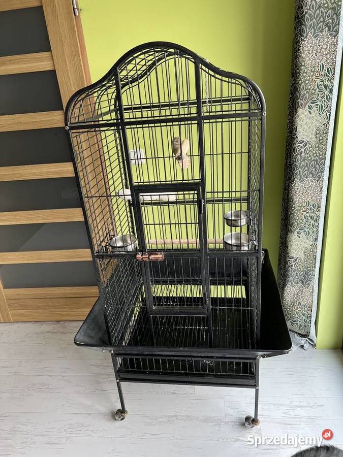 Klatka papugi Ara Żako Amazonka Nimfa Racibórz sprzedam