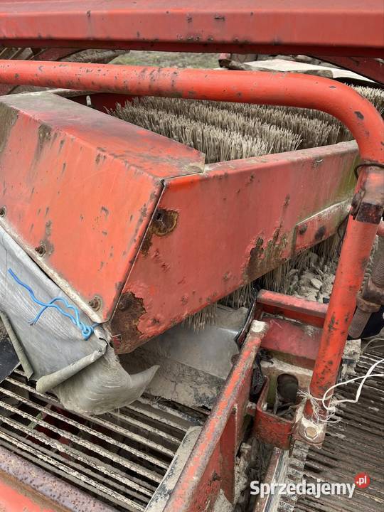 Kombajn do ziemniaków GRIMME MK 700 Jednorzędowy Stawiszyn
