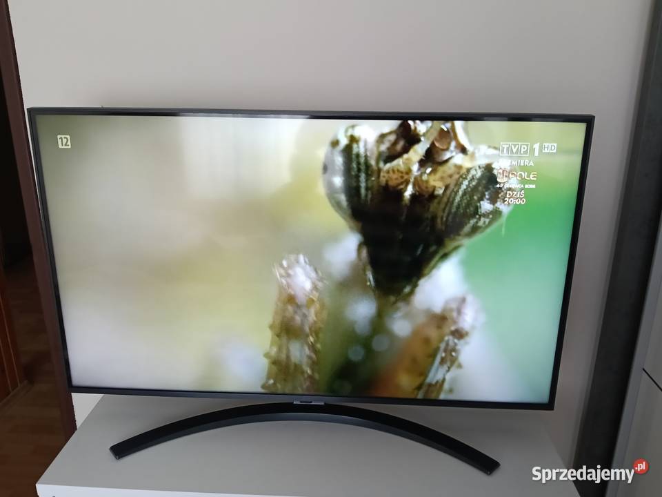 Telewizor LG Smart 43 cale Bieruń
