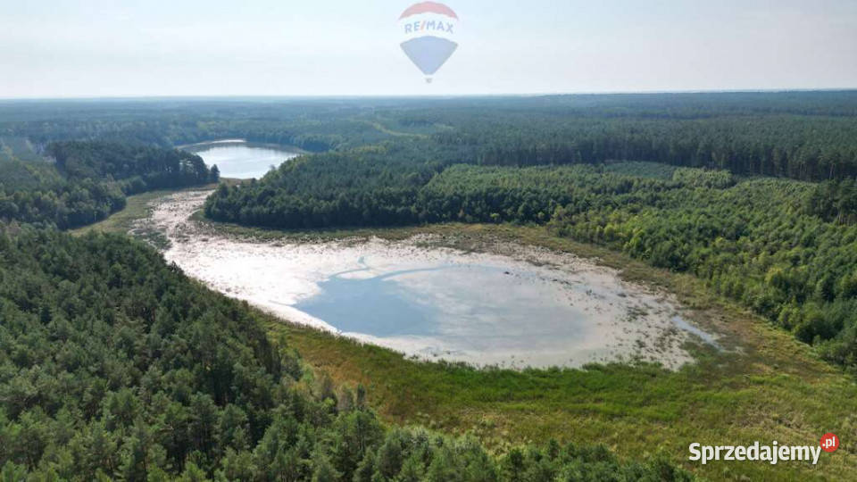Pięknie położone działki z domkami i WZ 200m kujawsko-pomorskie Pięćmorgi