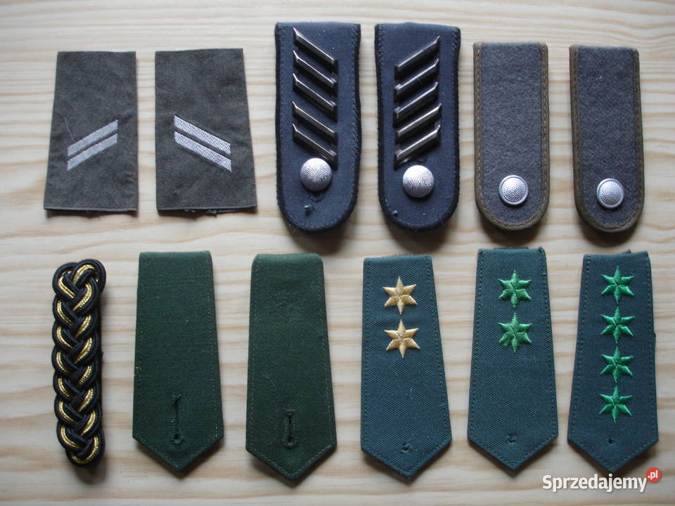 PAGONY kolekcjonerskie różne III Zielona Góra