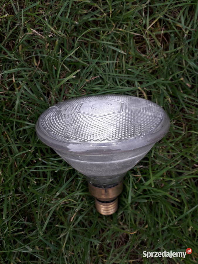 Lampy spot PAR ogrodowe ze szikulcem Lampy ogrodowe mazowieckie