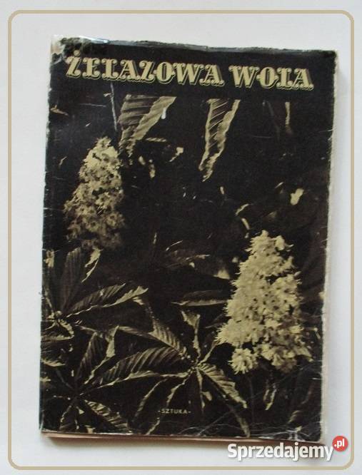 Żelazowa Wola Miejsce urodzenia Fryderyka Poradniki, albumy i reportaże łódzkie Łódź