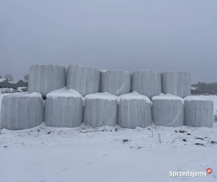 Bele sianokiszonki 3 Pokos sprzedam