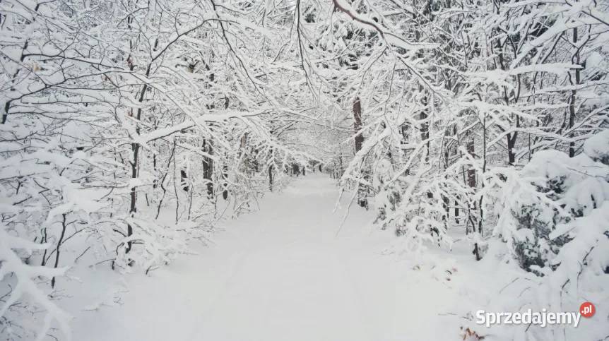 KULIG Z BIESIADĄ W KARCZMIE Wyjazd z Nowego Pozostałe Nowy Sącz