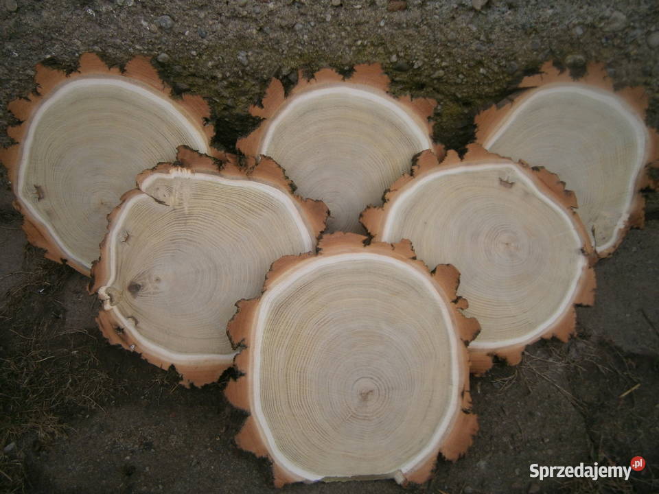 taca do serwowania podawania potraw 35x34x3 mazowieckie Siedlce