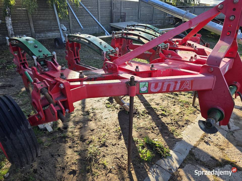 Głebosz unia kret nieuszkodzony Oporów