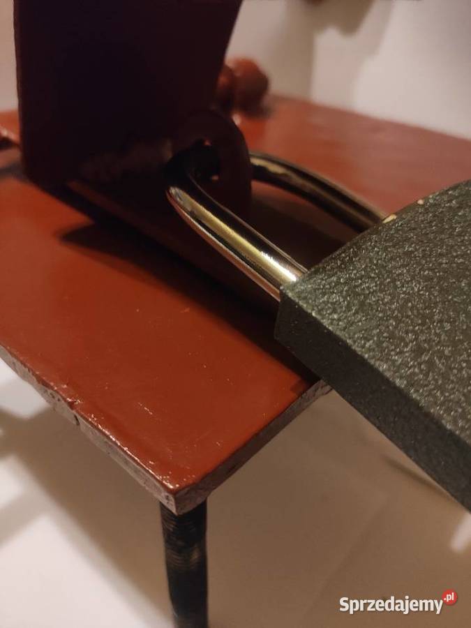 Zasuwa z osłoną na kłódkę Dom i Ogród