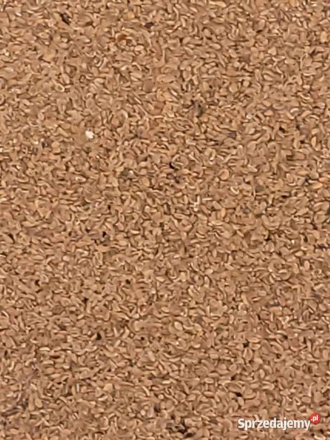 Facelia miododajne pszczoly Częstochowa sprzedam