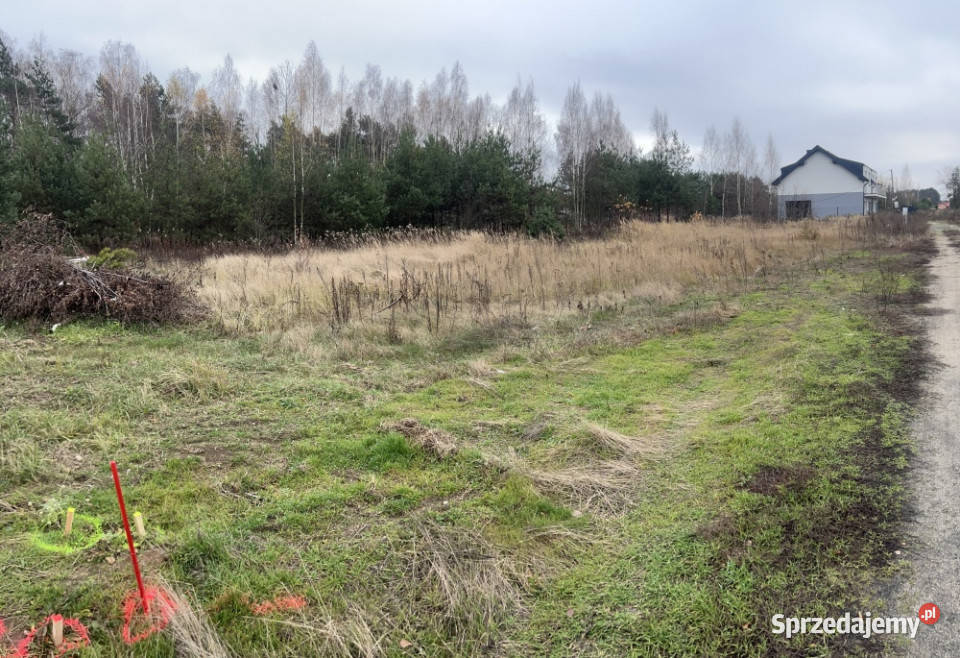 Działka budowlana Zalewu Zegrzyńskiego 800m2 Borowa Góra