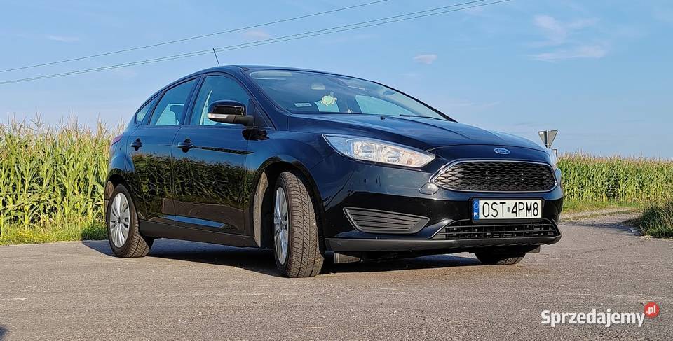 Ford Focus Klima 2 strefy grzana szyba przednia światła do jazdy dziennej Lubliniec