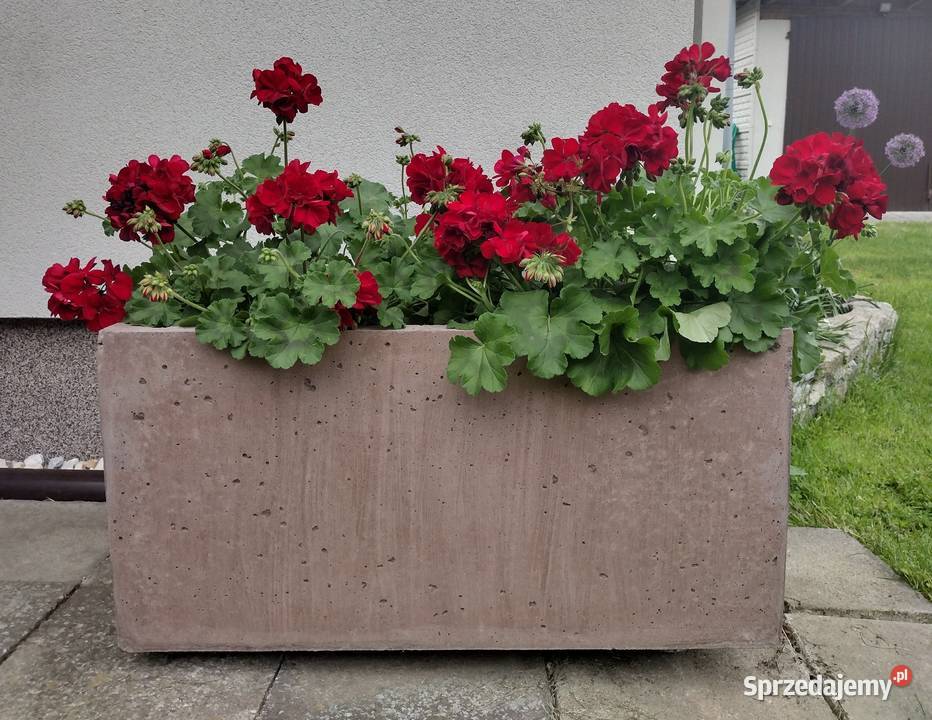 Donica z betonu architektonicznego Donice Donice ogrodowe