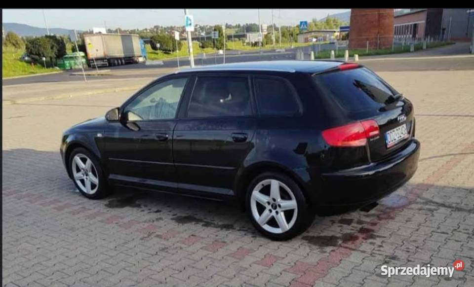 Audi A3 8P 19 TDI 105 śląskie