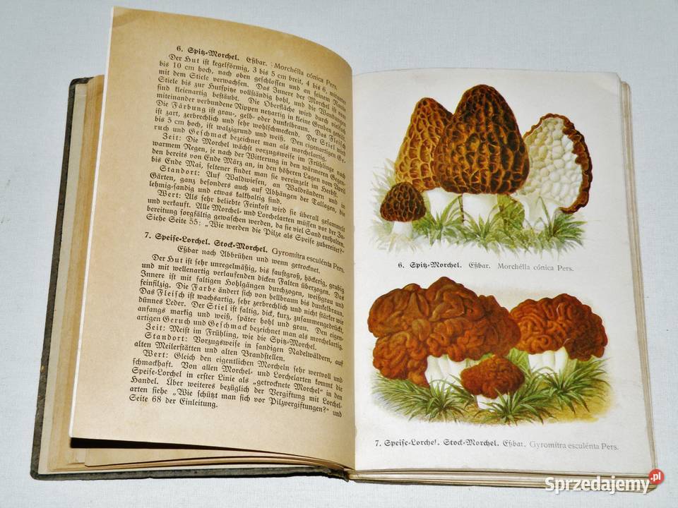 Fhrer fr Pilzfreunde E Michael Tom 1 Wyd B Bydgoszcz