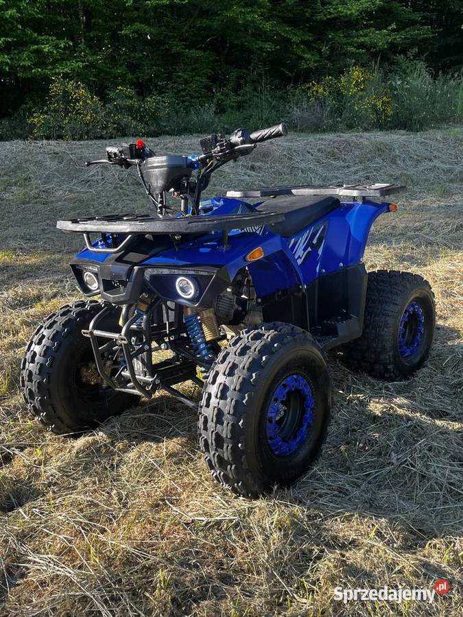 Quad Hunter 125 31 430 przebiegu 430km podkarpackie Jasło