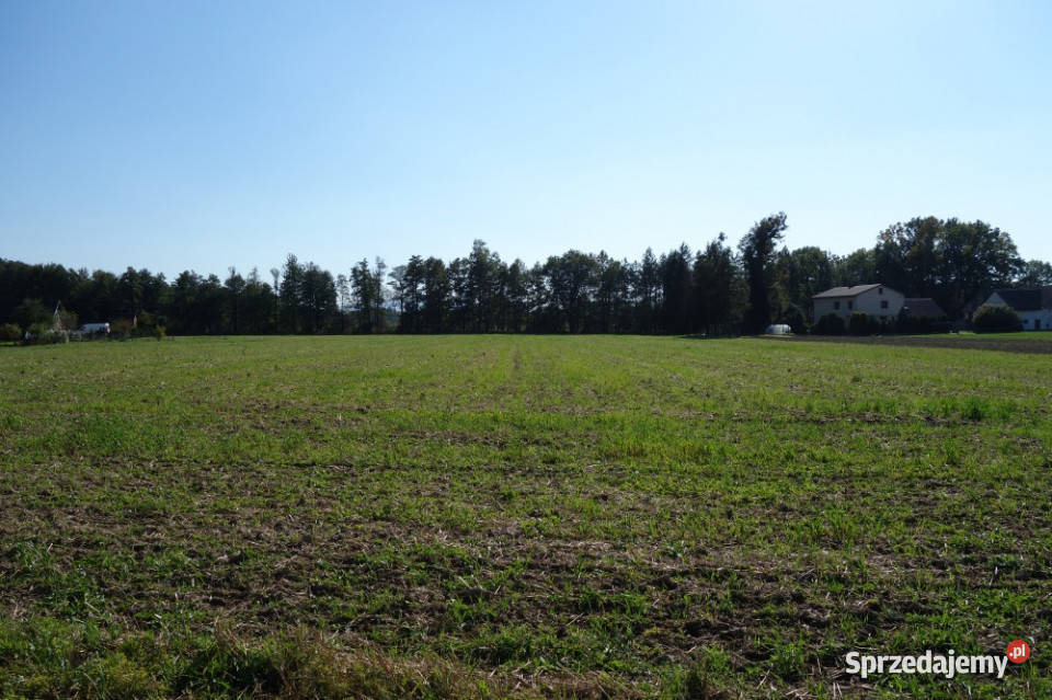 Skoczów Ochaby 162ha z prawem zabudowy pod siedliskowa