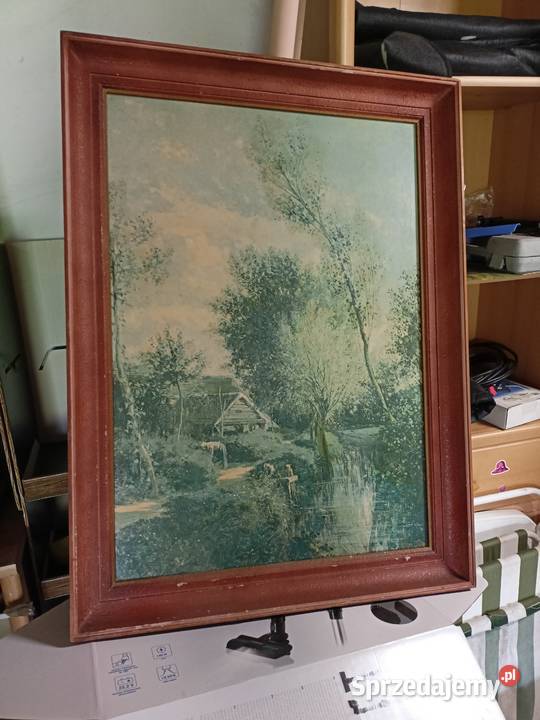 Obraz 80x60 podkarpackie Sokołów Małopolski sprzedam