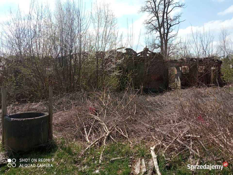 Gospodartwo rolne 877ha 7zł/m2 Jawor sprzedam