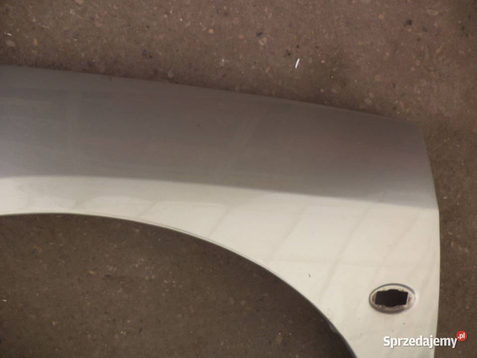 PEUGEOT 407 BLOTNIK LEWY PRZOD KCVD Turek