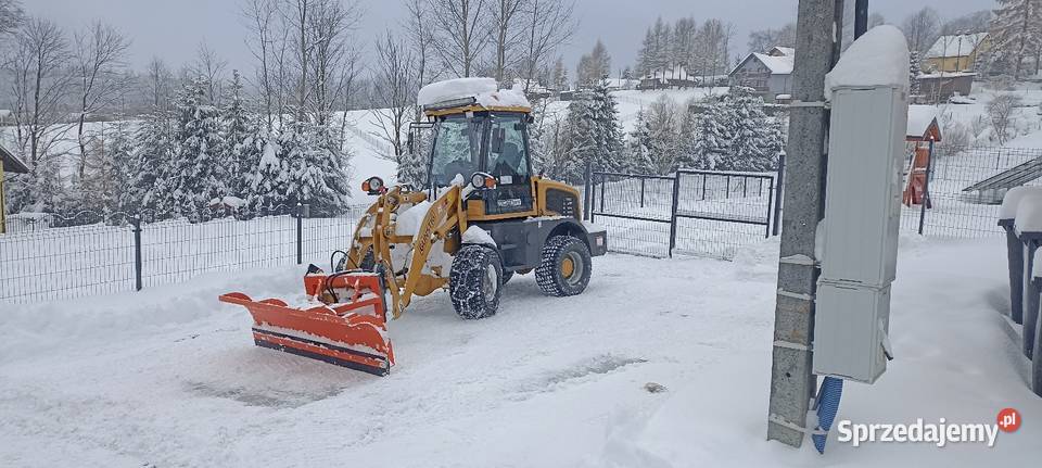 Ładowarka Gnstig Pozostałe Żywiec sprzedam