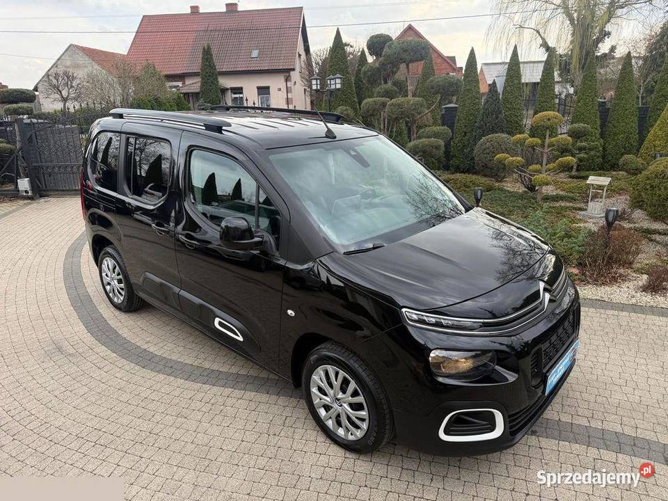 Citron Berlingo M 15 BlueHDI Feel SS 130 2020r Krotoszyn sprzedam
