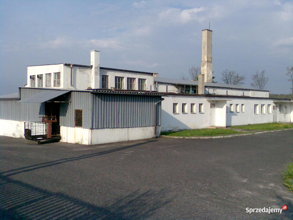 masarnię z ubojnią