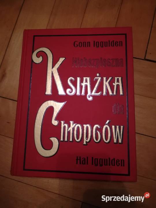 Niebezpieczna Książka Dla Chłopców Opinie Niebezpieczna książka dla chłopców Gonn, Hal Iggulden Łódź - Sprzedajemy.pl