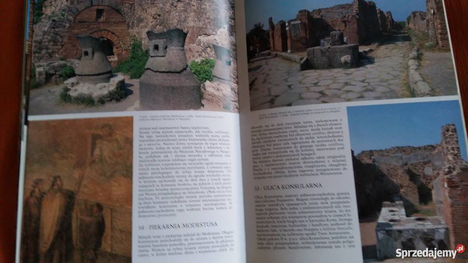 Sztuka i Historia Pompejów edycja polska Łódź